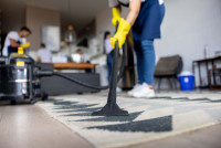 miller professional cleaners