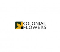 Colonial Flowers