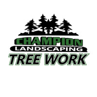 Champion Tree Work