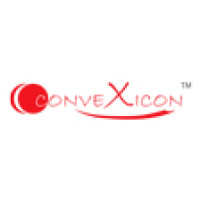 Convexicon Software Solutions India (P) Ltd