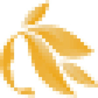Cosmetic Skin