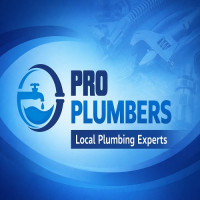 PRO Plumbers - Lakeville