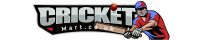 Grade 1 Cricket Bat