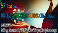 DIGITAL MARKETING COURSE CHANDIGARH | INFOSIF