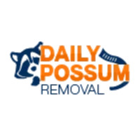 Daily Possum Removal: Fast and Professional Possum Removal Services in Melbourne