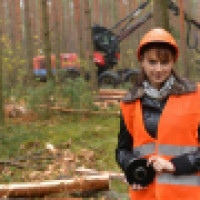 Darwin Tree Removal Surgeons