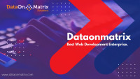 Professional IT Solutions & Software Services | DataOnMatrix
