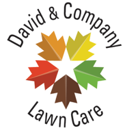 David & Company Lawn Care