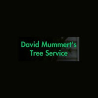 David Mummert's Tree Service
