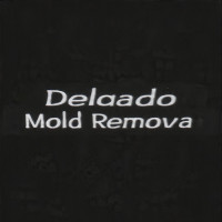 Delgado Mold Removal