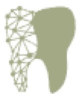 Dental Design Studio