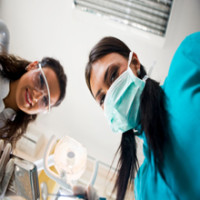 Martha's Vineyard Endodontics, P.C.