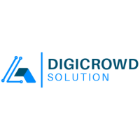 Digicrowd Solution - Digital Marketing Company Lucknow
