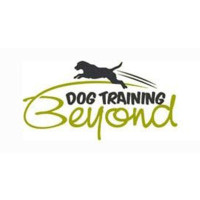Dog Training Beyond