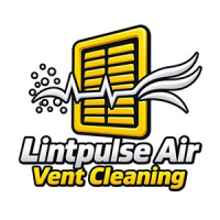 Lintpulse Air Vent Cleaning