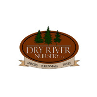 Dry River Nursery