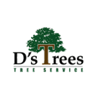 D's Trees