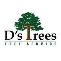 D’s Trees