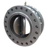 Dual Plate Check Valve Manufacturer in India