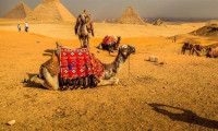 nileholiday