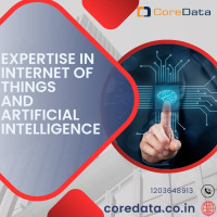 IT Services