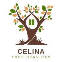 EZ-Works Celina Tree Services