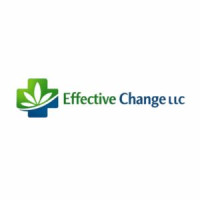 Effective Change LLC