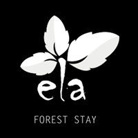 Ela Forest Stay - Tree House Resort in Kerala