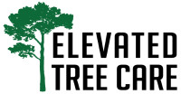 Elevated Tree Care