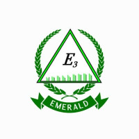 EMERALD ENERGY & EXPLORATION LAND CO.