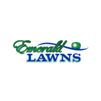 Emerald Lawns - Temple Lawn Care