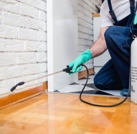 Squeak Pest Control Canberra