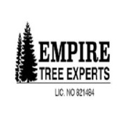 Empire Tree Experts