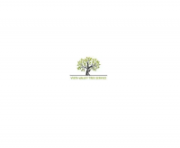 Escondido Tree Service Experts