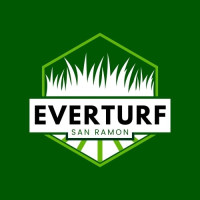 EverTurf San Ramon Artificial Grass
