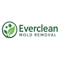 Everclean Mold Removal Of Miami