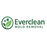 Everclean Mold Removal Of Jacksonville