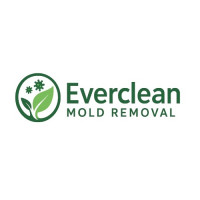 Everclean Mold Removal Of Tampa