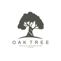 Evergreen Canopy Services