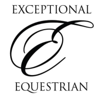 Exceptional Equestrian