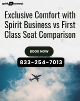 Exclusive Comfort with Spirit Business vs First Class Seat Comparison