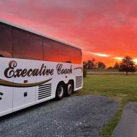 Executive Coach