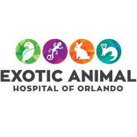 Exotic Animal Hospital of Orlando