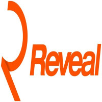 Reveal Marketing Group