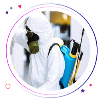 Termite Control Hobart