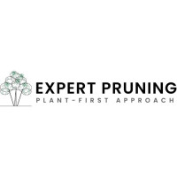 Expert Pruning