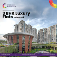 Explore Luxury 3 BHK Flats in Aerocity Mohali for Sale