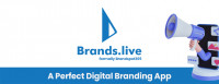 More than 10,000+ Creative Business and Festival Marketing Images
