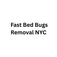 Fast Bed Bugs Removal NYC