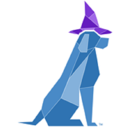 The Dog Wizard - Dog & Puppy Obedience Training Atlanta